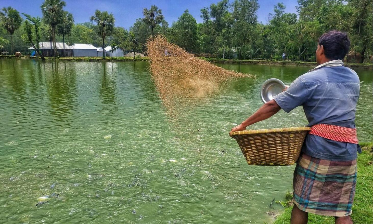 Aquaculture